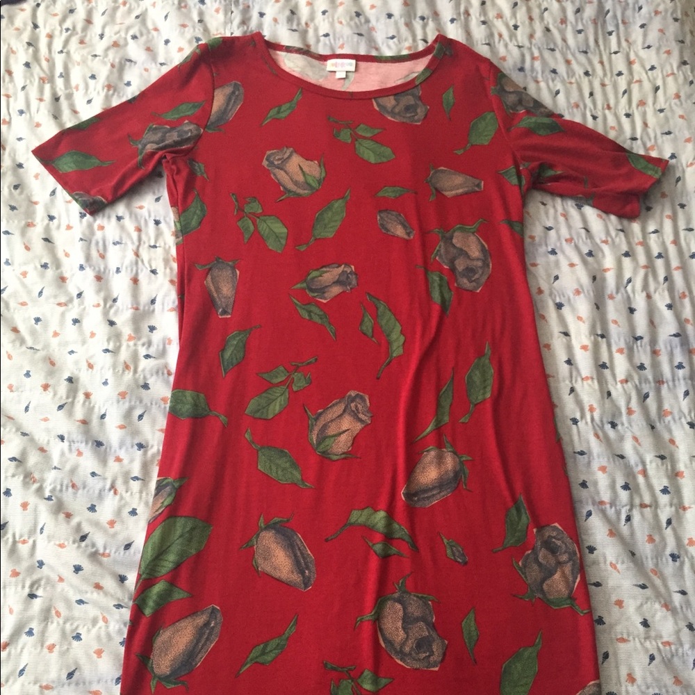 Fitted Lularoe T-shirt dress